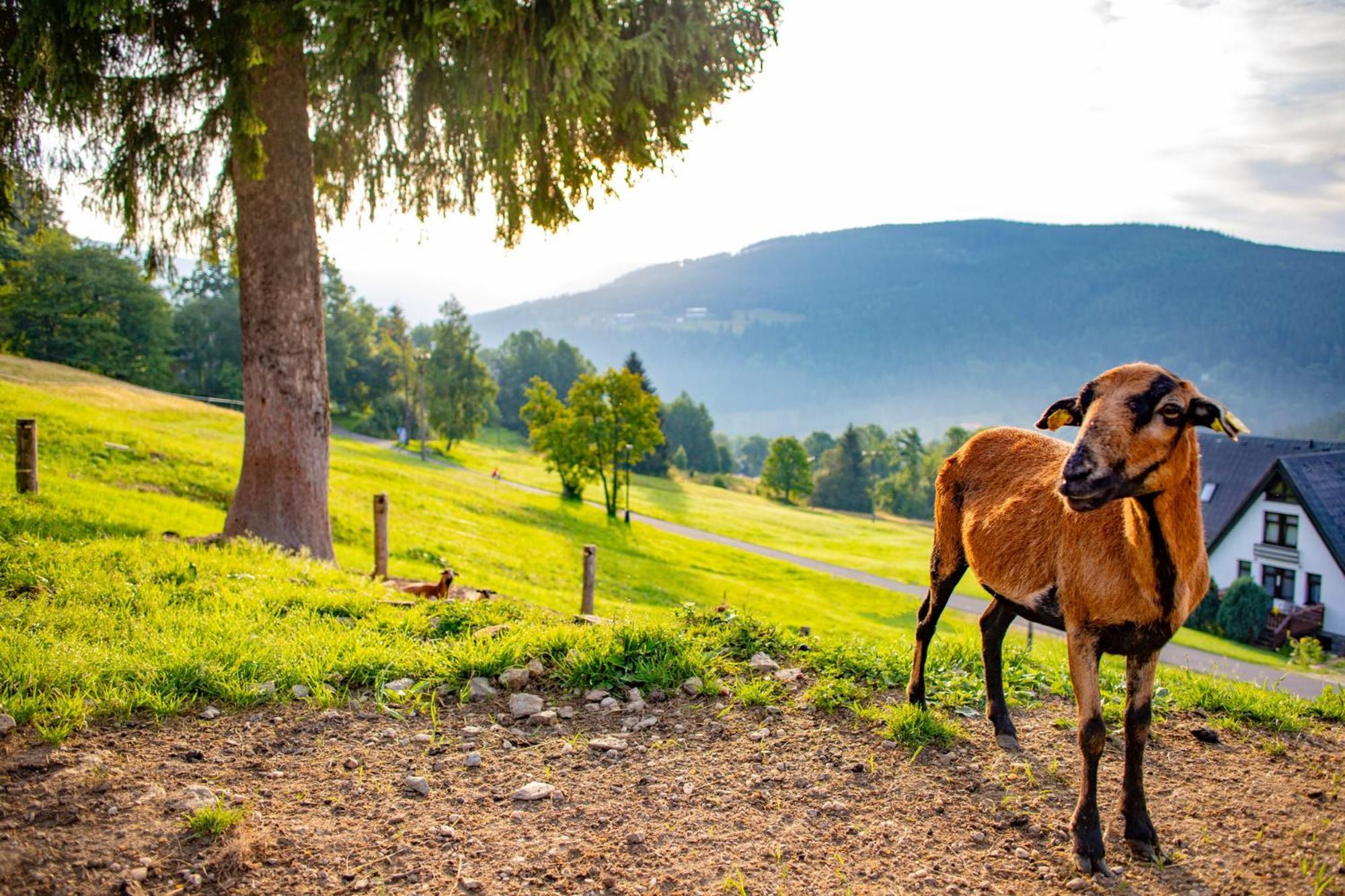 Amenity Hotel & Resort Špindlerŭv Mlýn 외부 사진