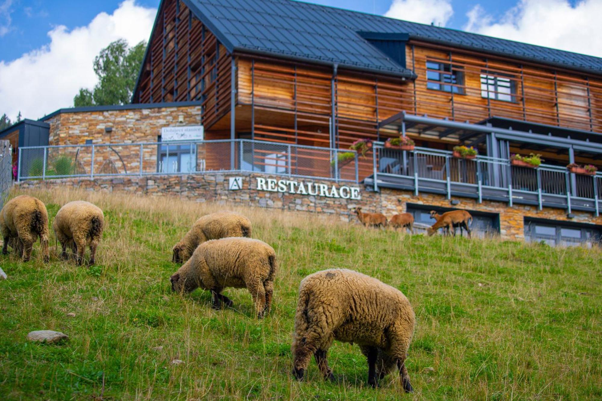 Amenity Hotel & Resort Špindlerŭv Mlýn 외부 사진